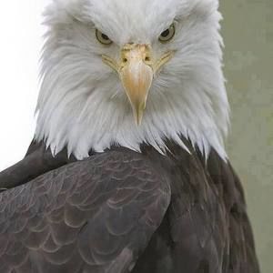 Meet your Posher, Stephen